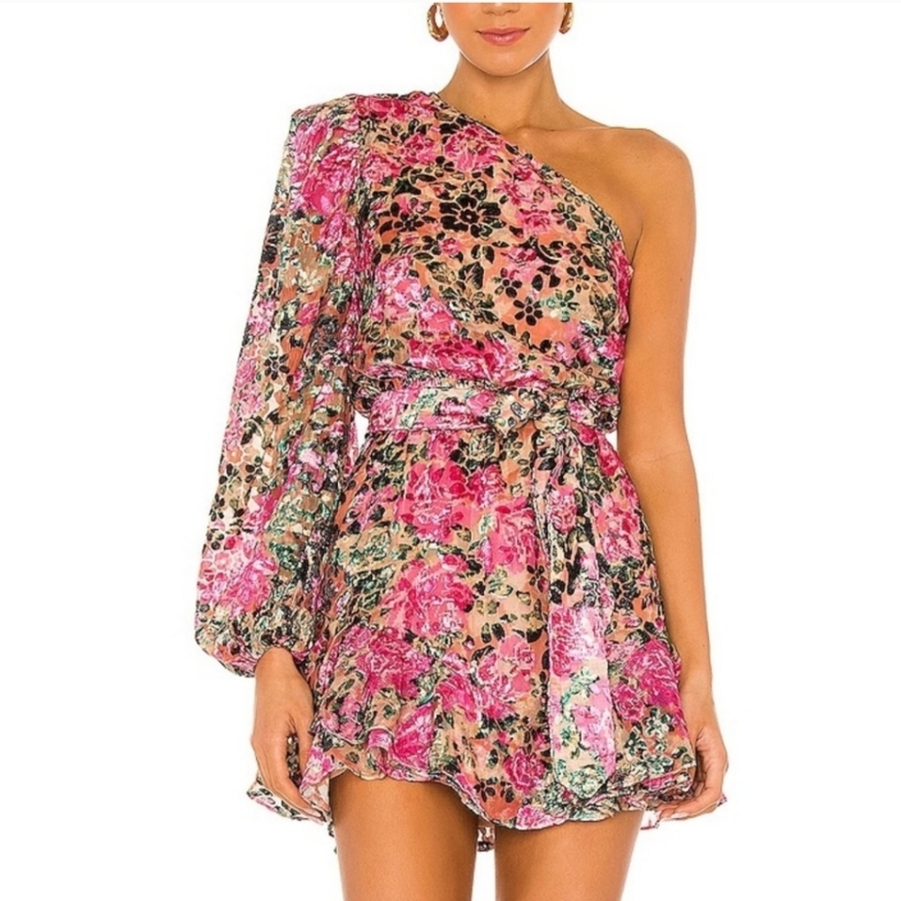 HEMANT AND NANDITA Kilim Mini Dress Floral Velvet Burnout One Shoulder M Medium